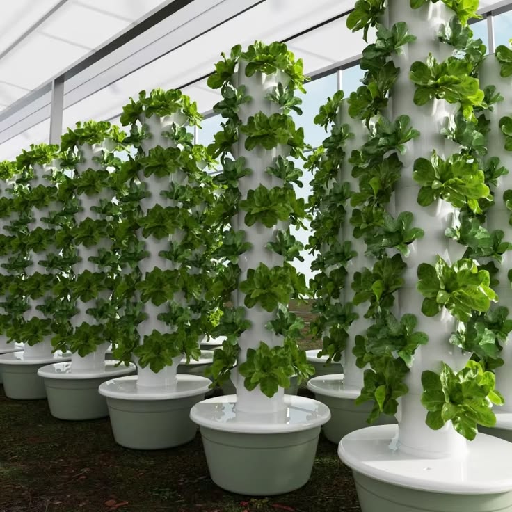 Aeroponic Tower